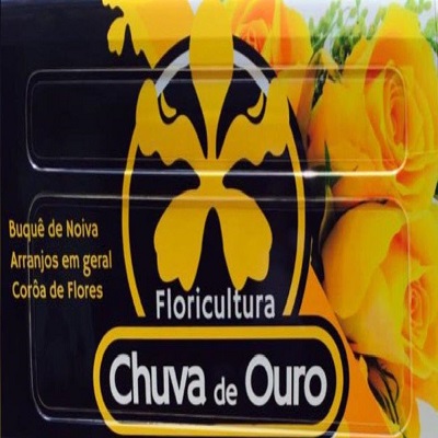 FLORICULTURA CHUVA DE OURO - 4134